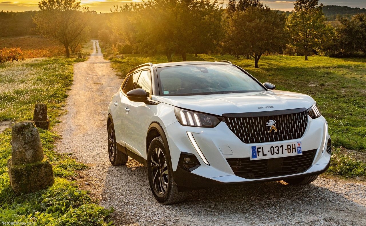 The Top SUVs of 2023 by category!